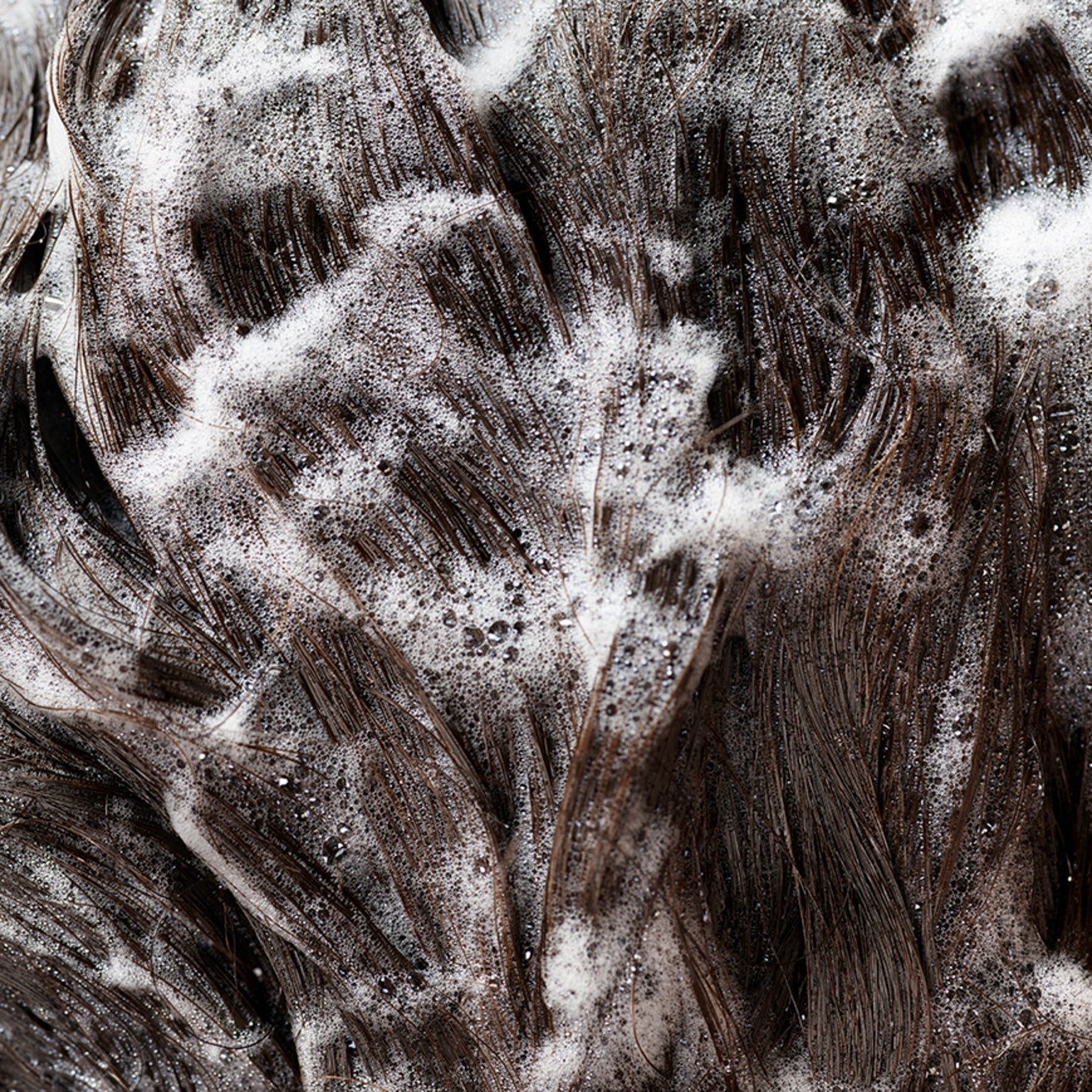 Signature Shampoo - Image 9